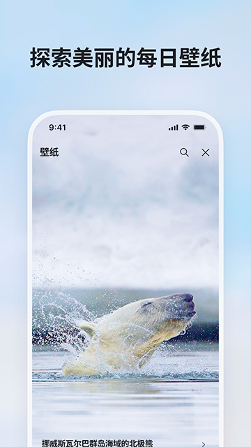 bing搜索国际版截图1