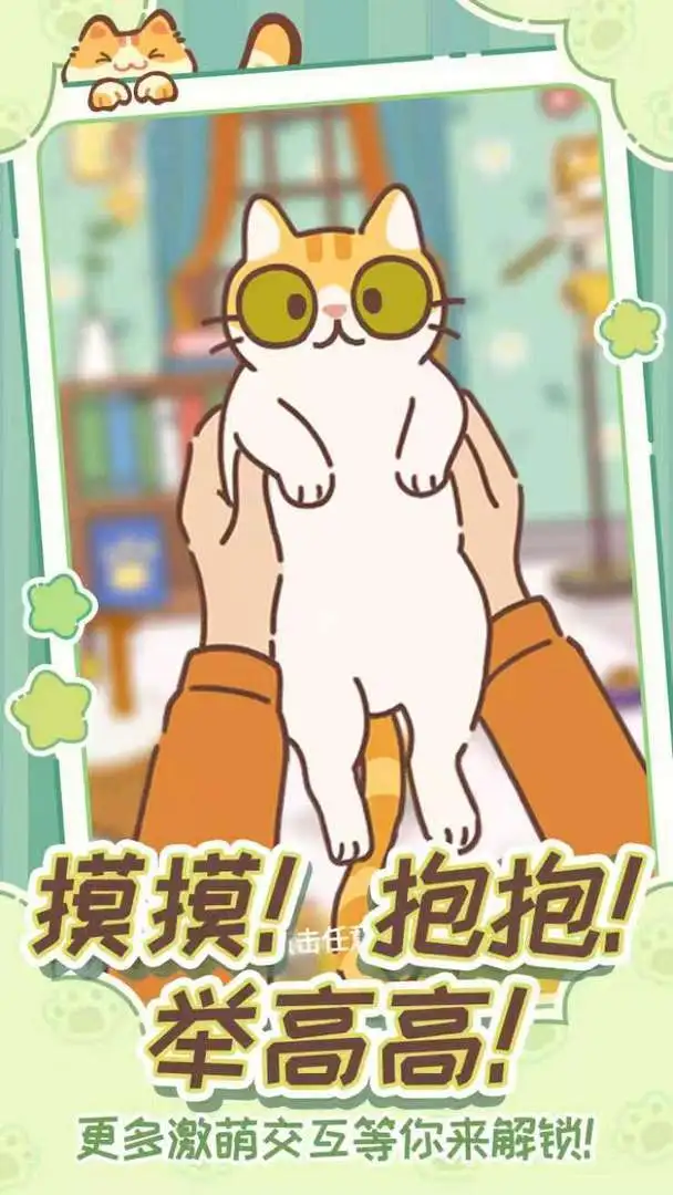 领养一只流浪猫截图3