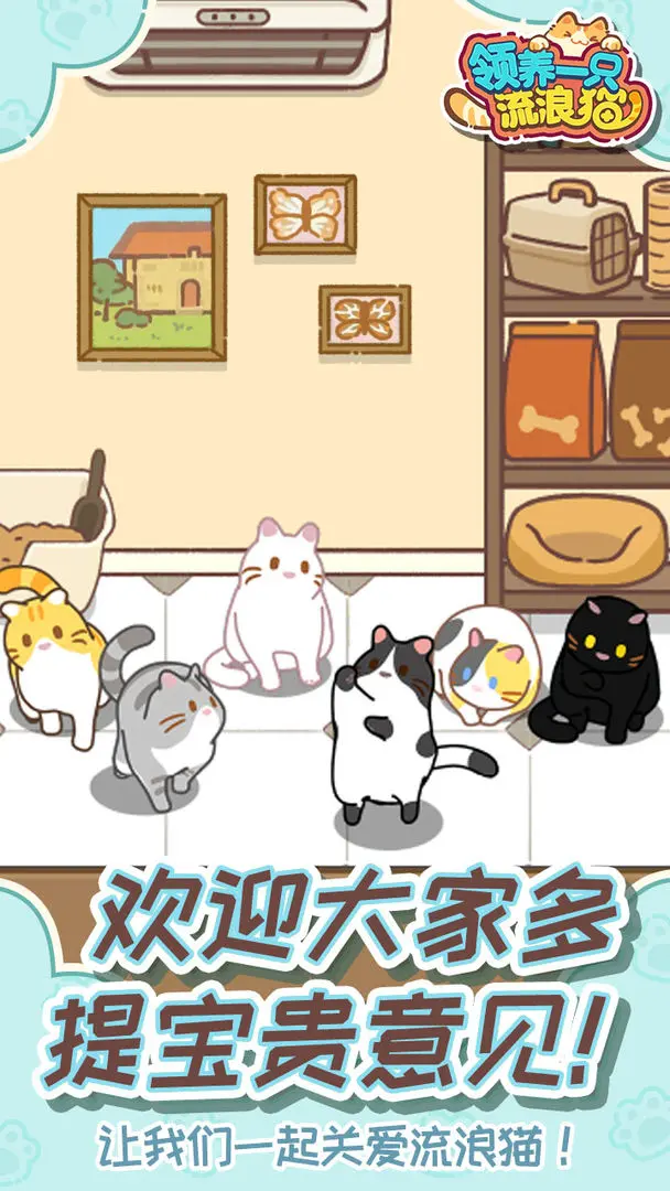 领养一只流浪猫截图4