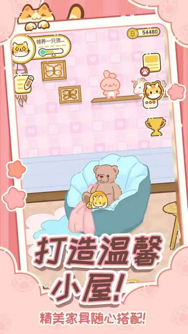 领养一只流浪猫