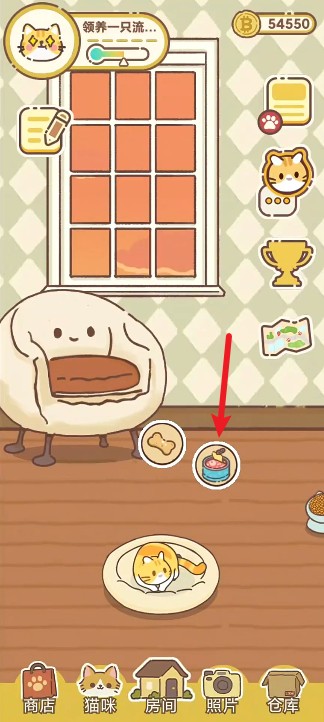 领养一只流浪猫最新版截图2