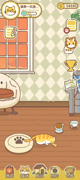 领养一只流浪猫最新版截图1