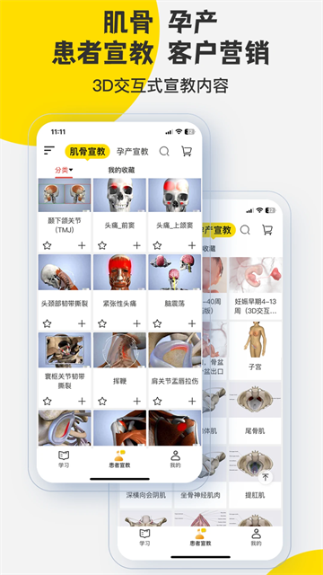 3dbody解剖截图1