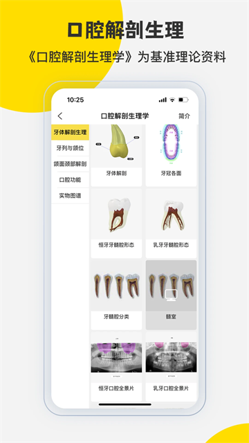 3dbody解剖截图5