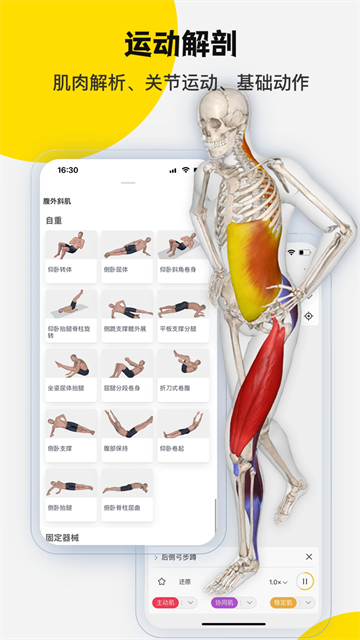 3dbody解剖app免费版截图2