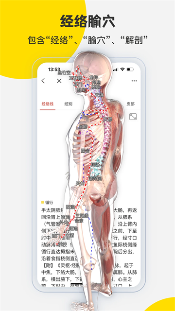 3dbody解剖app免费版截图3