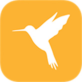 小黄鸟抓包软件