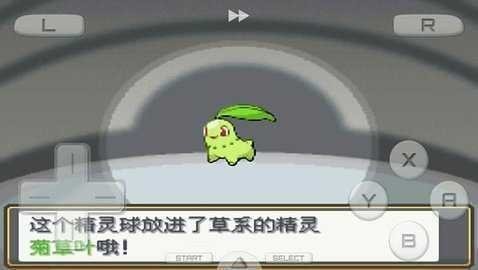 口袋妖怪心金魂银汉化版截图2