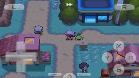 口袋妖怪心金魂银汉化版截图3