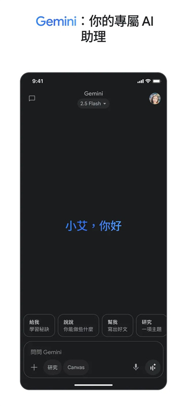 google gemini官方版截图2
