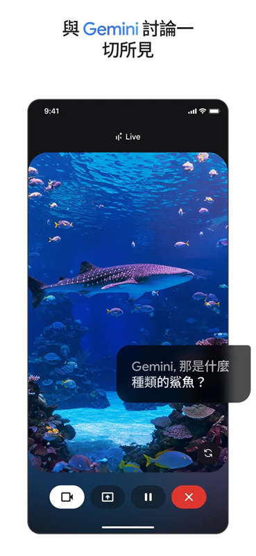 google gemini官方版截图4