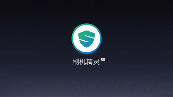 刷机精灵TV版截图4