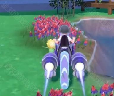 如何找向日葵截图4