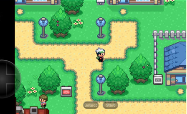 口袋妖怪空之花神汉化版截图3