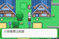 口袋妖怪空之花神