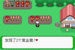 口袋妖怪空之花神