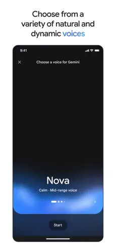 google gemini中文版截图1