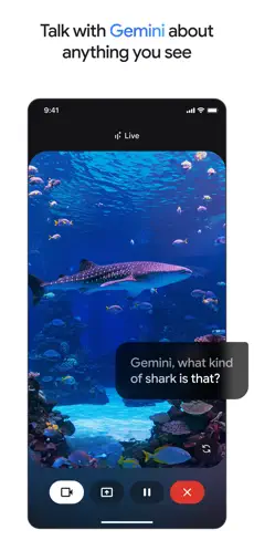 google gemini中文版截图3