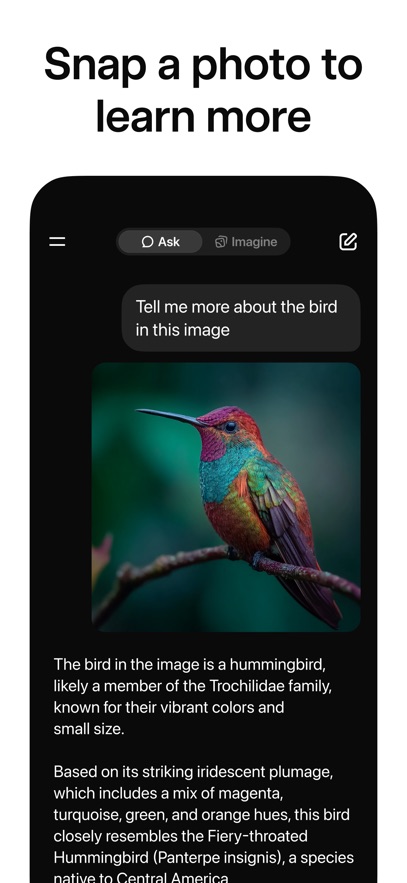 grok4.1测试版截图5