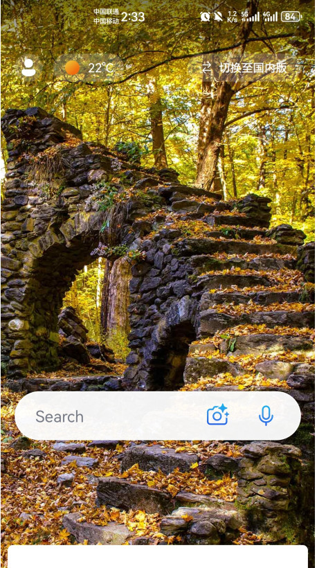 必应国际版截图1