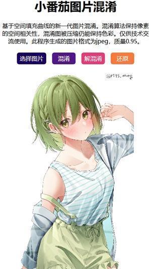 小番茄混淆解析工具