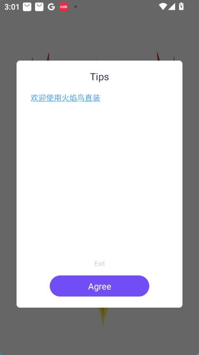 火焰鸟v2直装截图2