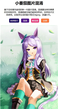 小番茄解混淆图片