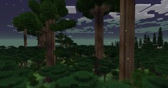 我的世界暮色森林