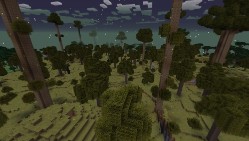 我的世界暮色森林