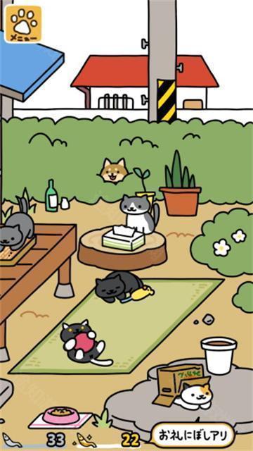 猫咪后院2最新版