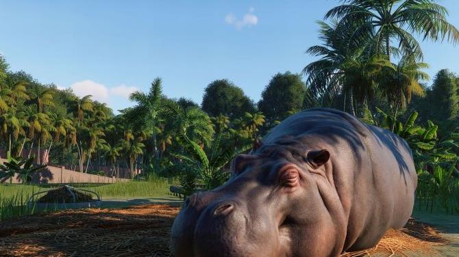 动物园之星狒狒同款截图3