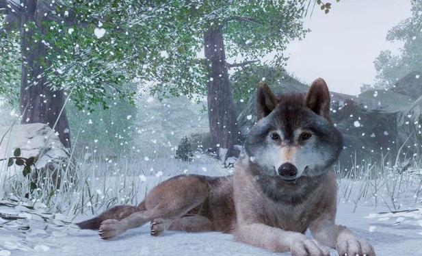 动物园之星狒狒同款截图4