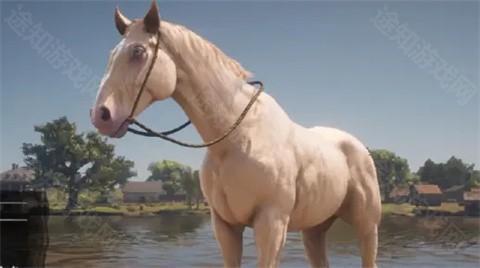 荒野大镖客救赎手机版