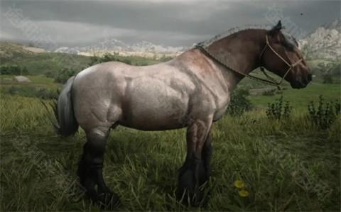 荒野大镖客救赎手机版