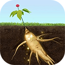 夺笋高手2025苹果版本