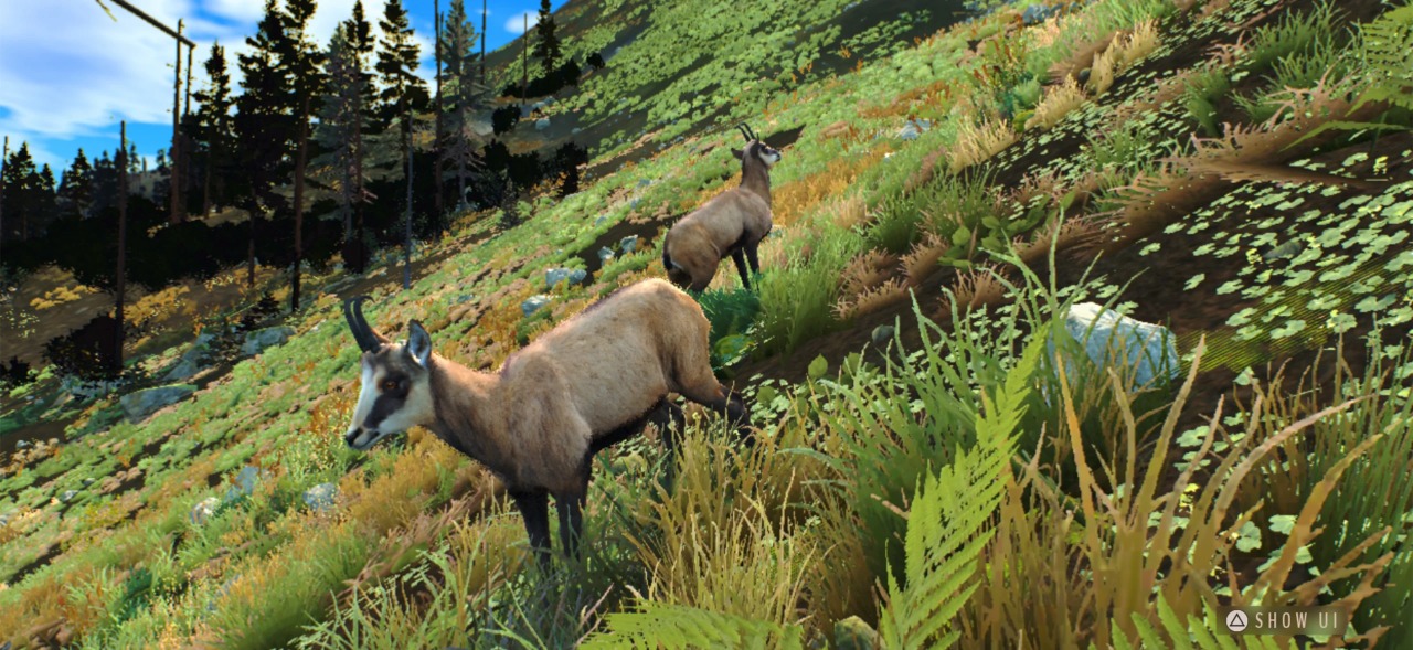 猎人之路狂野欧洲截图1