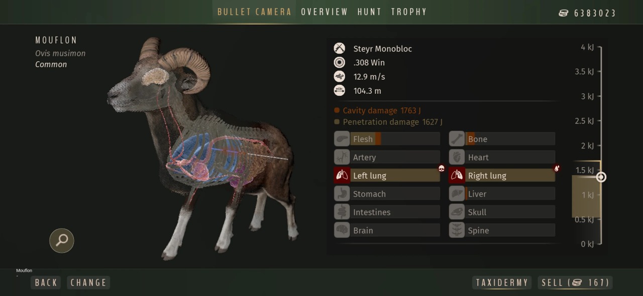 猎人之路狂野欧洲截图3