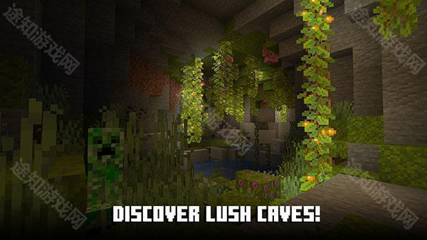 我的世界基岩版1.21.130.24