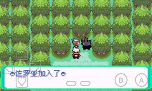 口袋妖怪漆黑的魅影5.0ex bw神兽