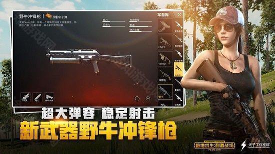 pubg mobile国际服