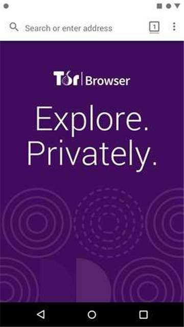 洋葱tor手机版截图4