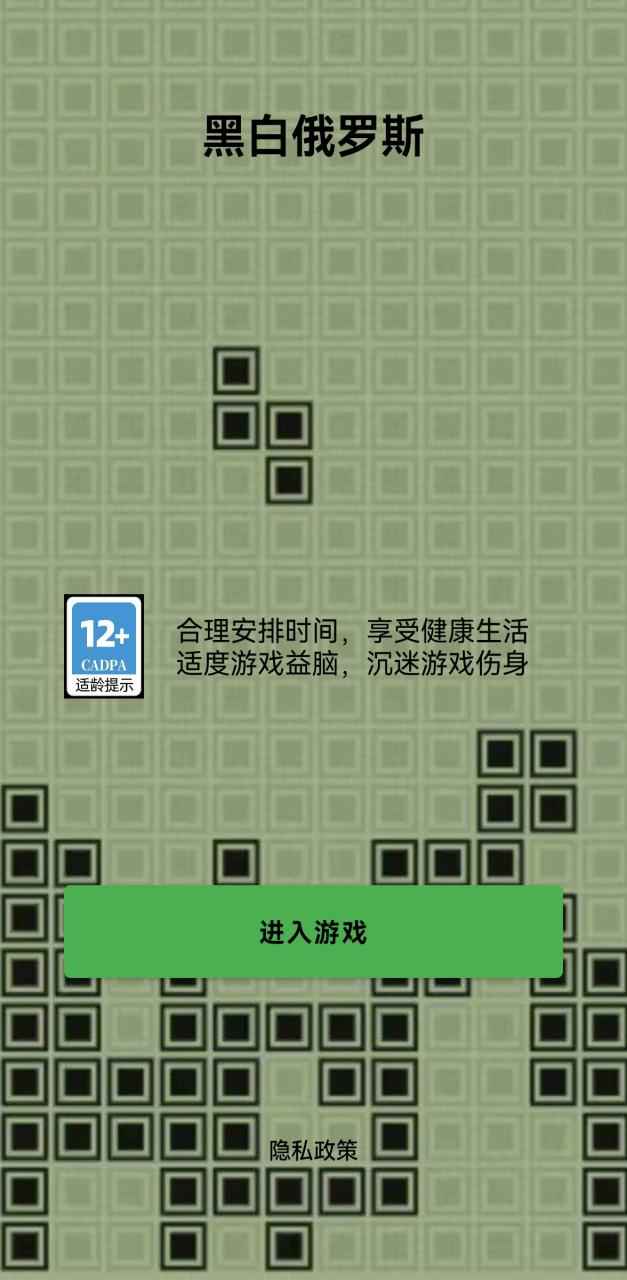 黑白俄罗斯截图1