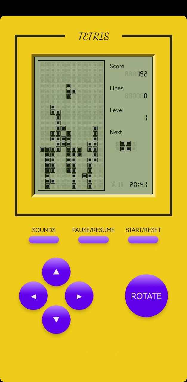 黑白俄罗斯截图3